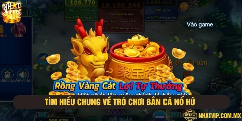 Trải Nghiệm Đỉnh Cao Với Bắn Cá Nổ Hũ Vip 3D: Săn Cá, Nổ Hũ, Thỏa Mãn Đam Mê image-1732721564296